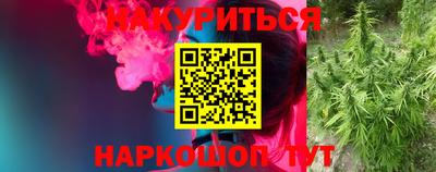 индика Надым
